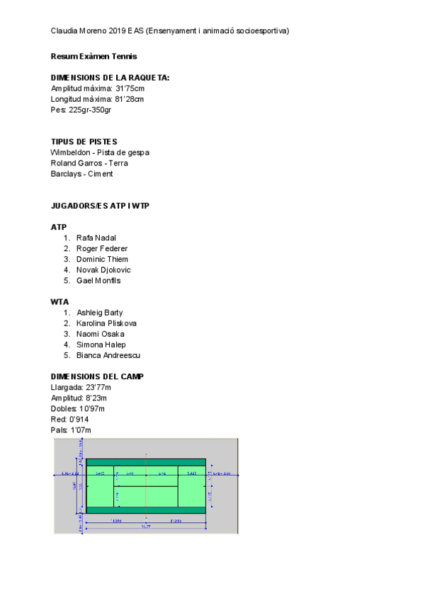 Miniatura del documento Resum-Examen-Tennis.pdf