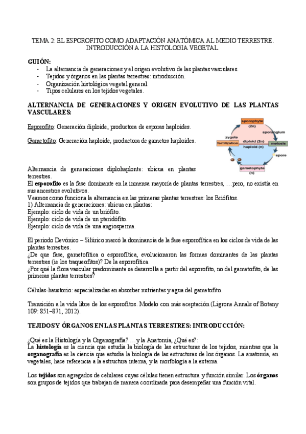 Miniatura del documento TEMA-2.pdf