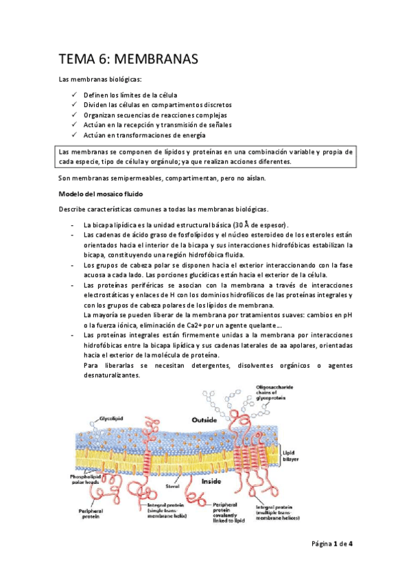 Miniatura del documento BIOQ.pdf
