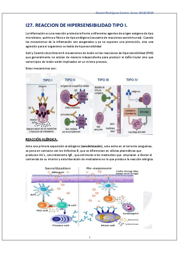 Miniatura del documento T.pdf