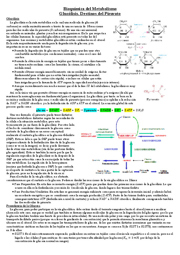 Miniatura del documento Glucolisis.pdf