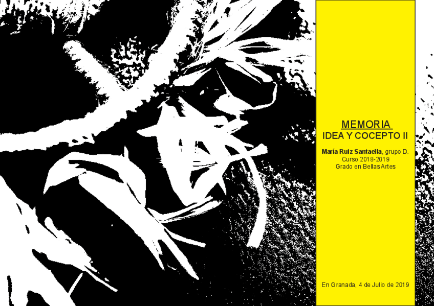 Miniatura del documento memoria-vborrego.pdf