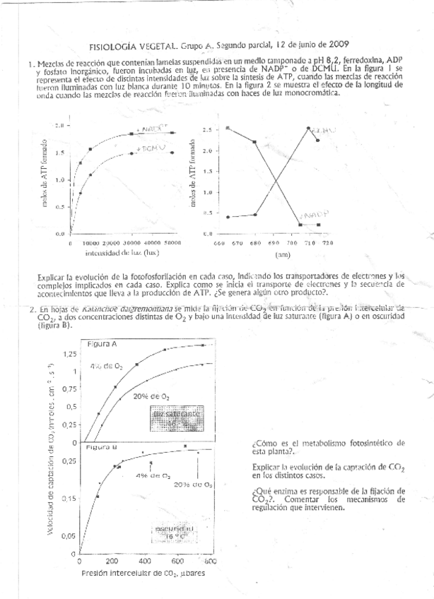 Miniatura del documento Fisio Vegetal Junio 2010.pdf