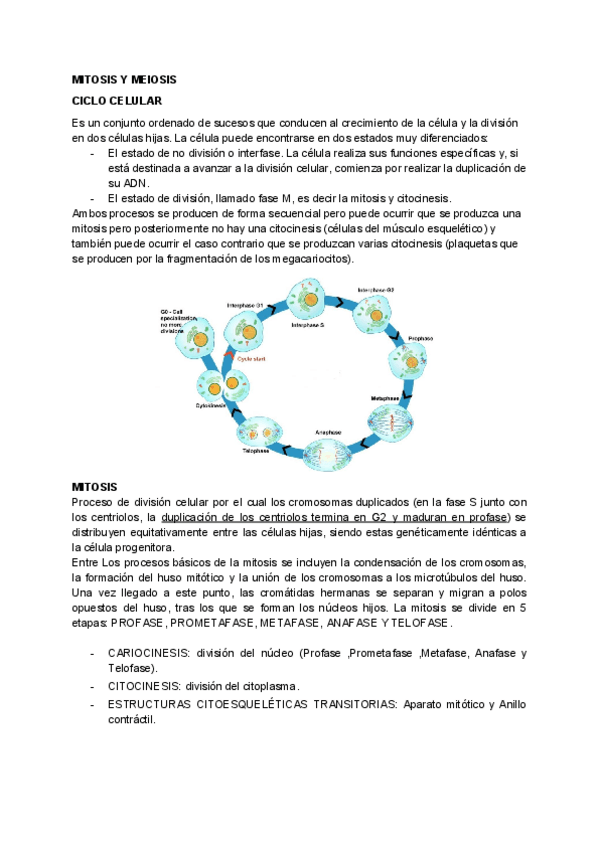 Miniatura del documento BIOLOGIA-MITOSIS-Y-MEIOSIS.pdf