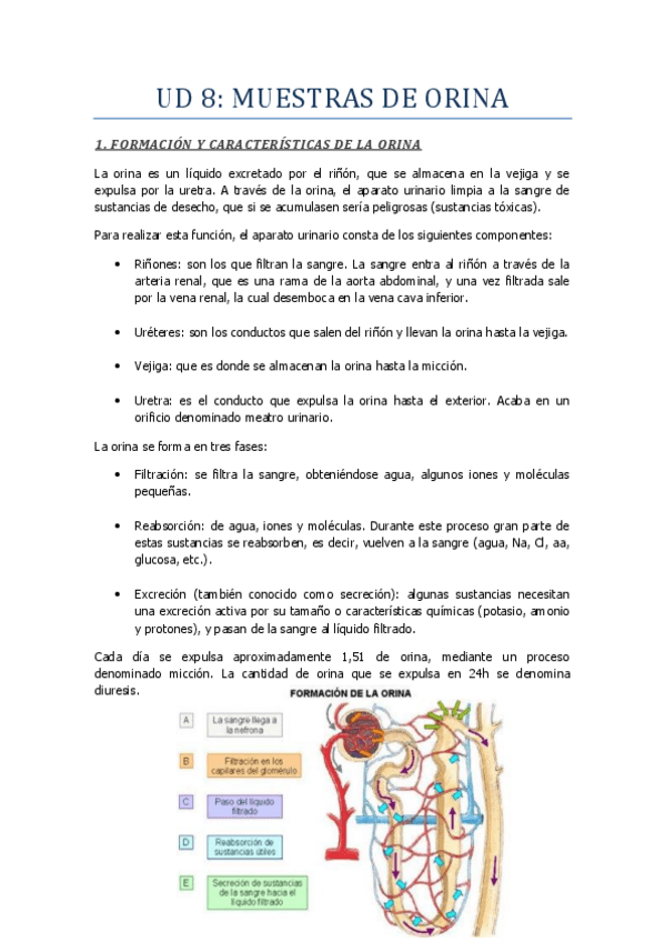 Miniatura del documento UD-8-Muestras-de-orina.pdf