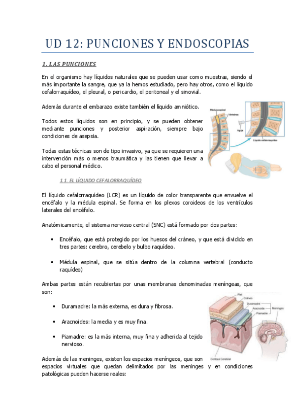 Miniatura del documento UD-12-Punciones-y-endoscopias.pdf