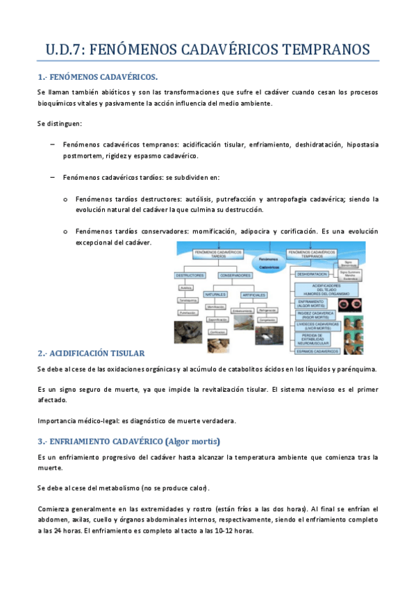 Miniatura del documento Tema-7-Fenomenos-cadavericos-tempranos.pdf