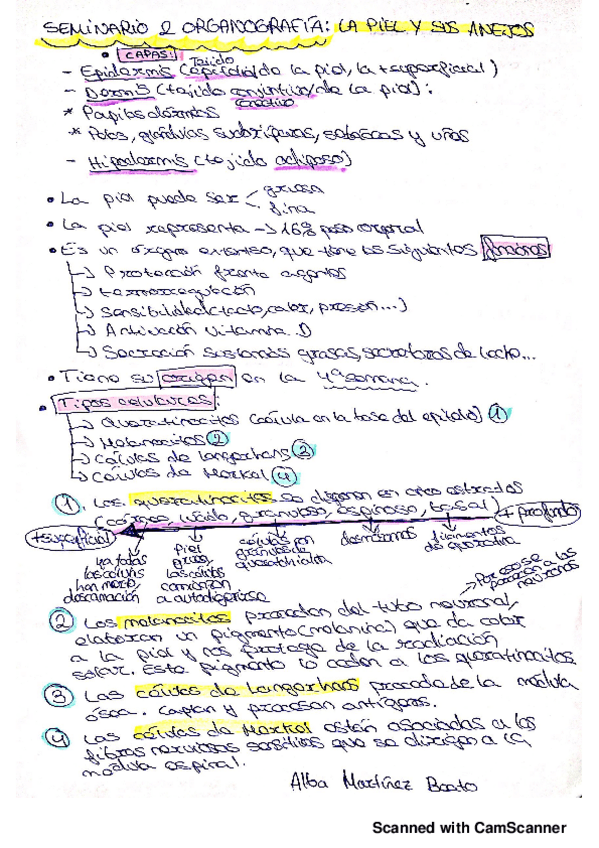 Miniatura del documento seminario-2-organografia20191122132818.pdf