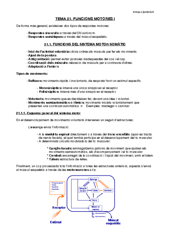 Miniatura del documento Apunts-Fisiologia-i-Fisiopatologia-I-Tema-21.pdf