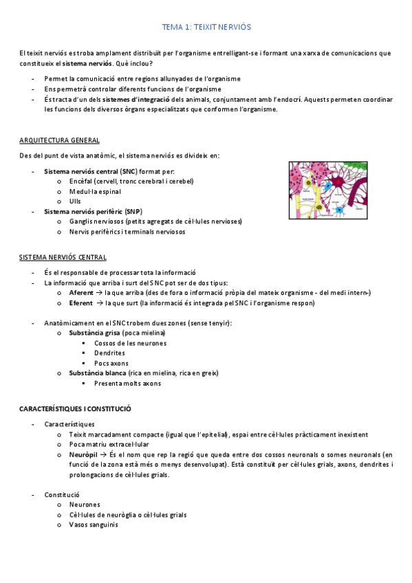 Miniatura del documento Ampliacio-histologia-TEMA-1.pdf