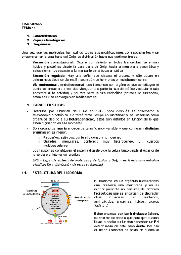 Miniatura del documento BIOLOGIA-TEMA-11.pdf