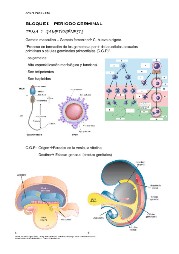 Miniatura del documento BLOQUE-I-T2.pdf