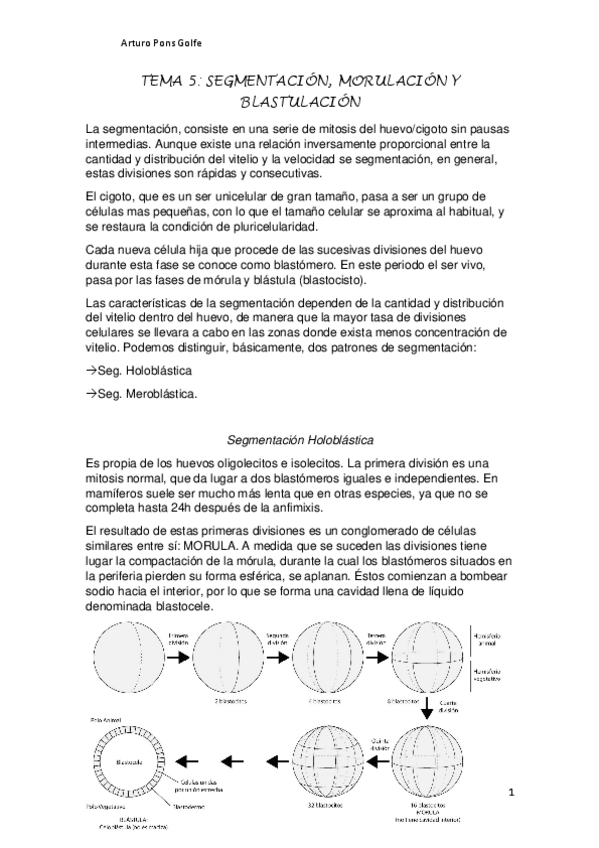 Miniatura del documento TEMA-5.pdf