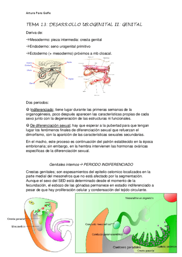 Miniatura del documento TEMA-13-y-14.pdf