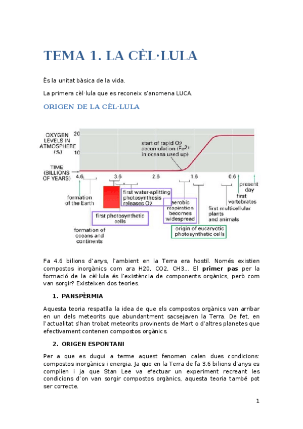 Miniatura del documento PARCIAL-1.docx