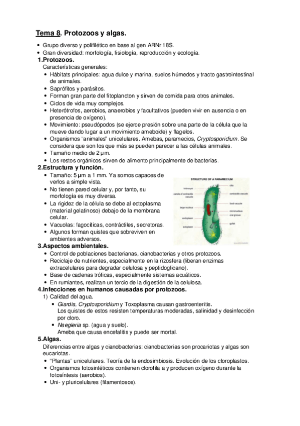 Miniatura del documento Tema-8.pdf