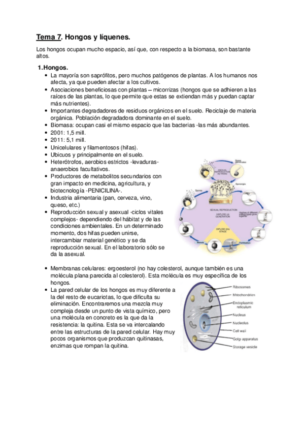 Miniatura del documento Tema-7.pdf