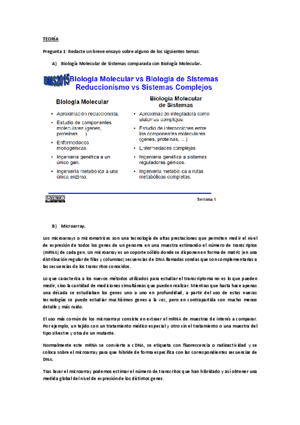 Miniatura del documento preguntas de examen.pdf