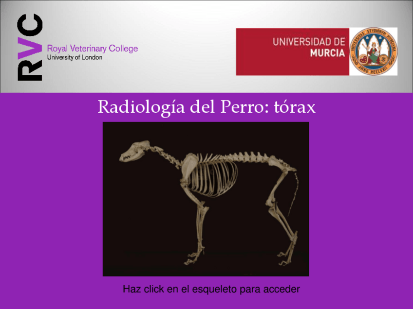 Miniatura del documento Torax-ARP.pdf