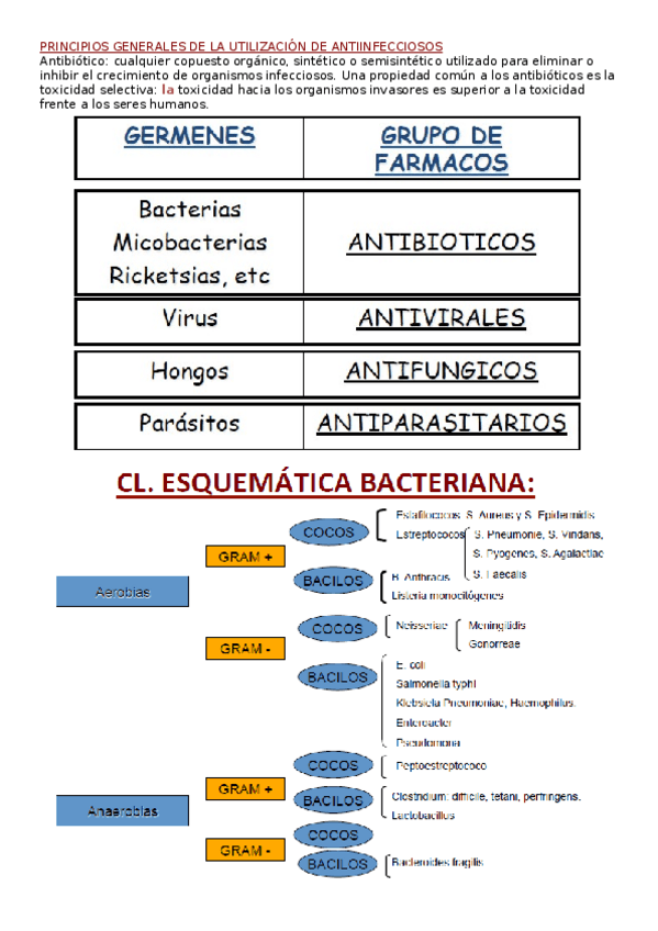 Miniatura del documento 1.docx