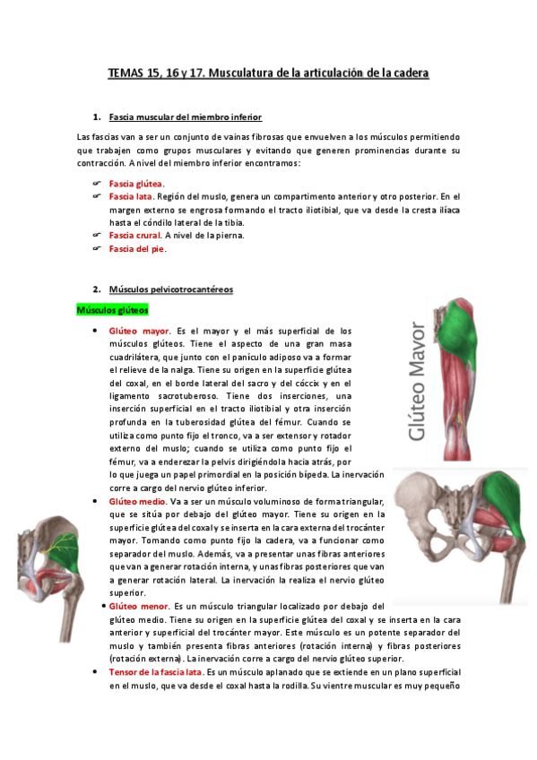 Miniatura del documento TEMAS-15-16-y-17.pdf