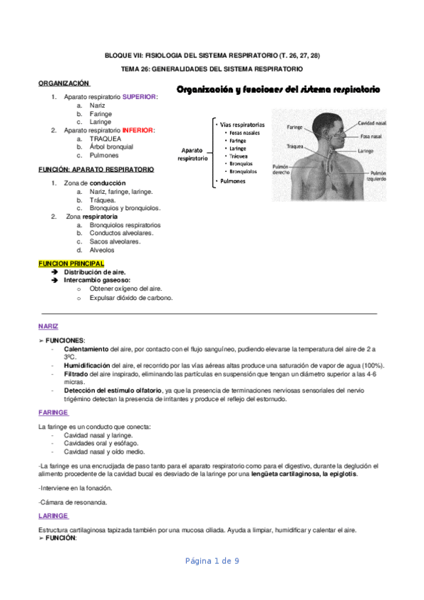 Miniatura del documento BLOQUE-VII-DE-FISIO.docx