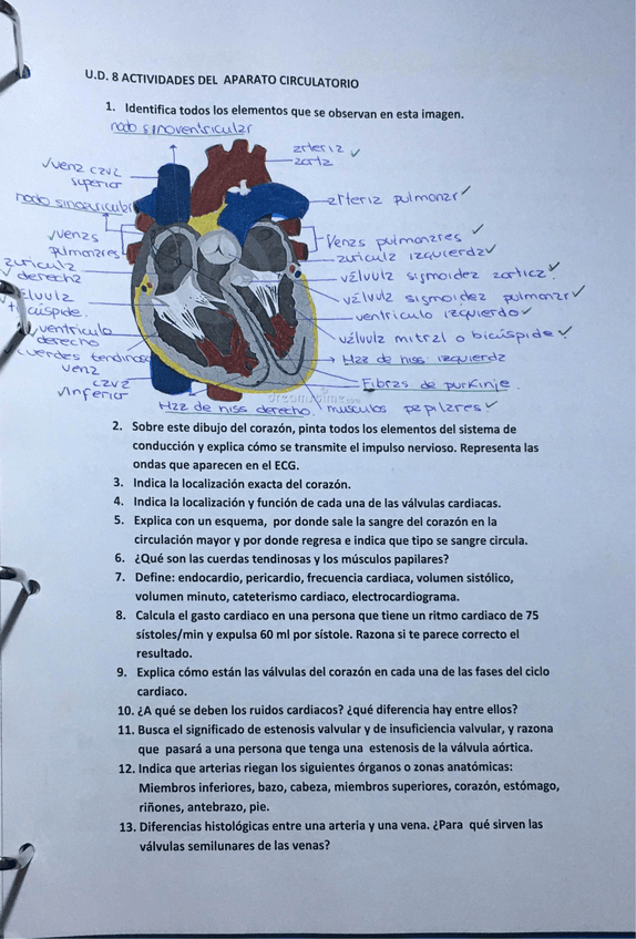 Miniatura del documento ACTIVIDADES-TEMA-8-fisio.pdf