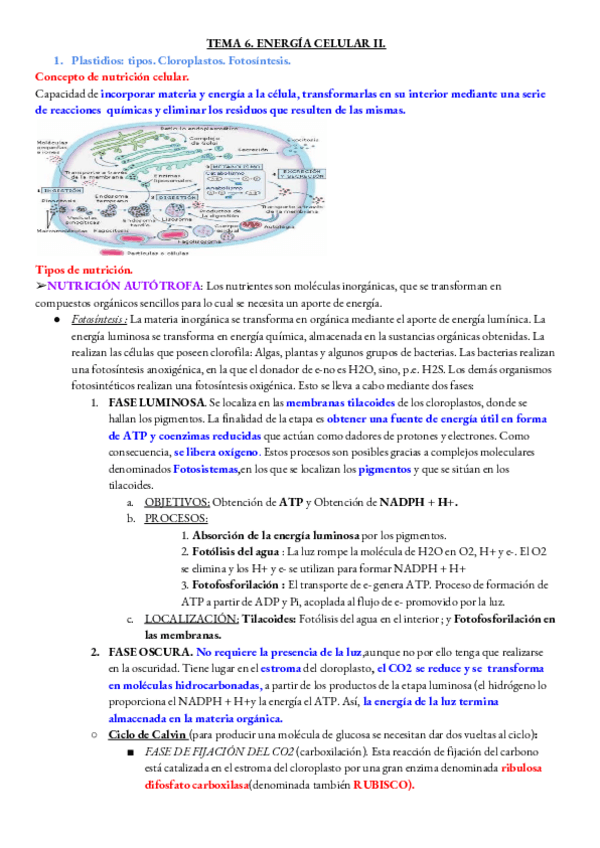 Miniatura del documento BIOLOGIA-TEMA-6.pdf