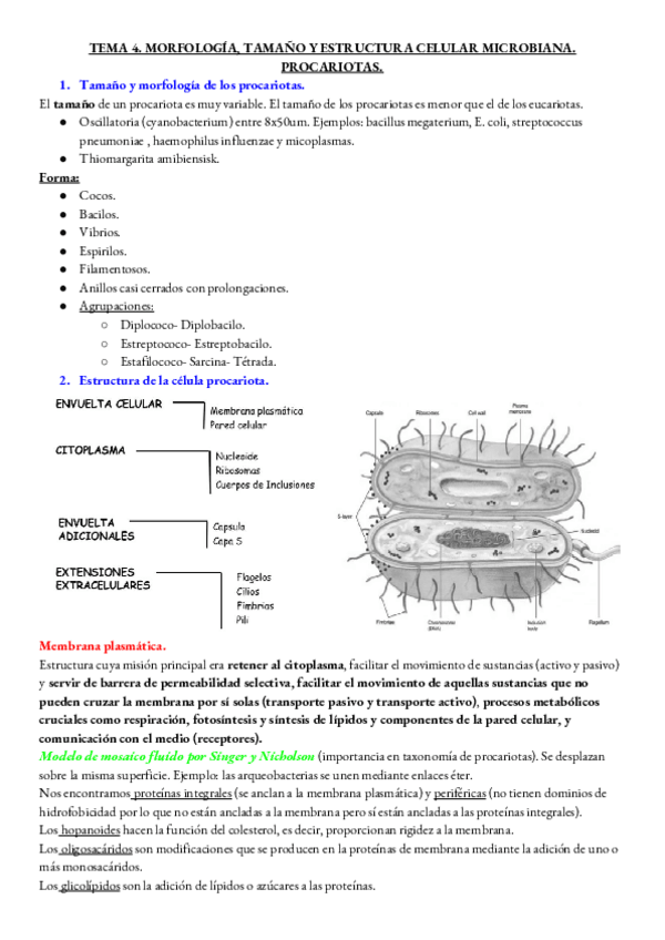 Miniatura del documento micro-tema-4.pdf