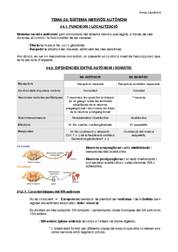 Miniatura del documento Apunts-Fisiologia-i-Fisiopatologia-I-Tema-24.pdf