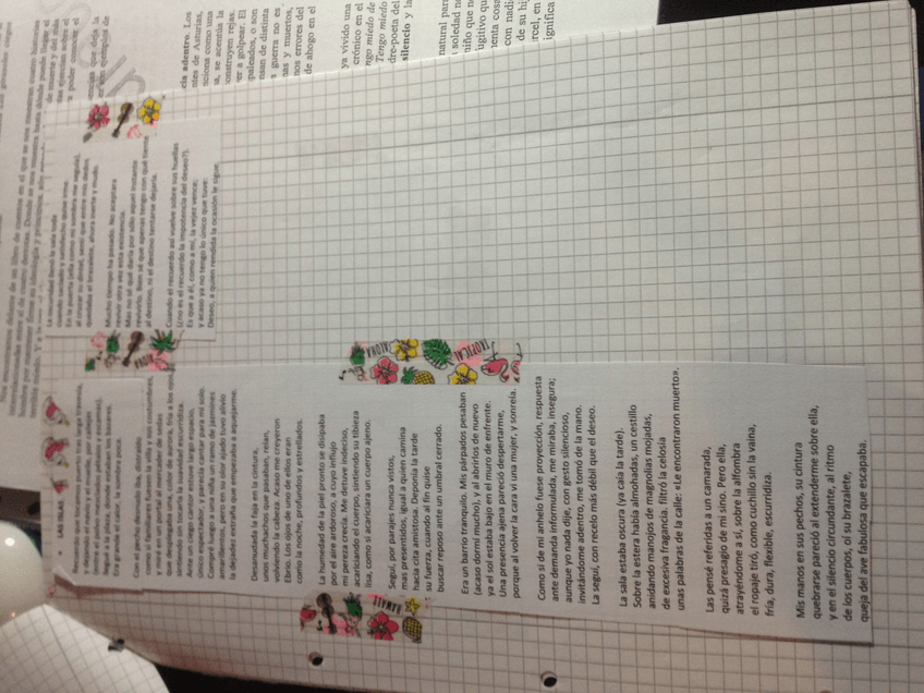 Miniatura del documento IMG5679.jpg