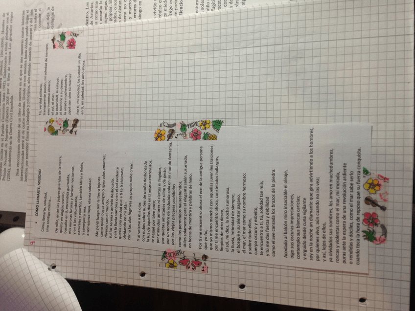 Miniatura del documento IMG5677.jpg