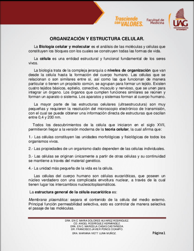 Miniatura del documento Resumen-1.pdf