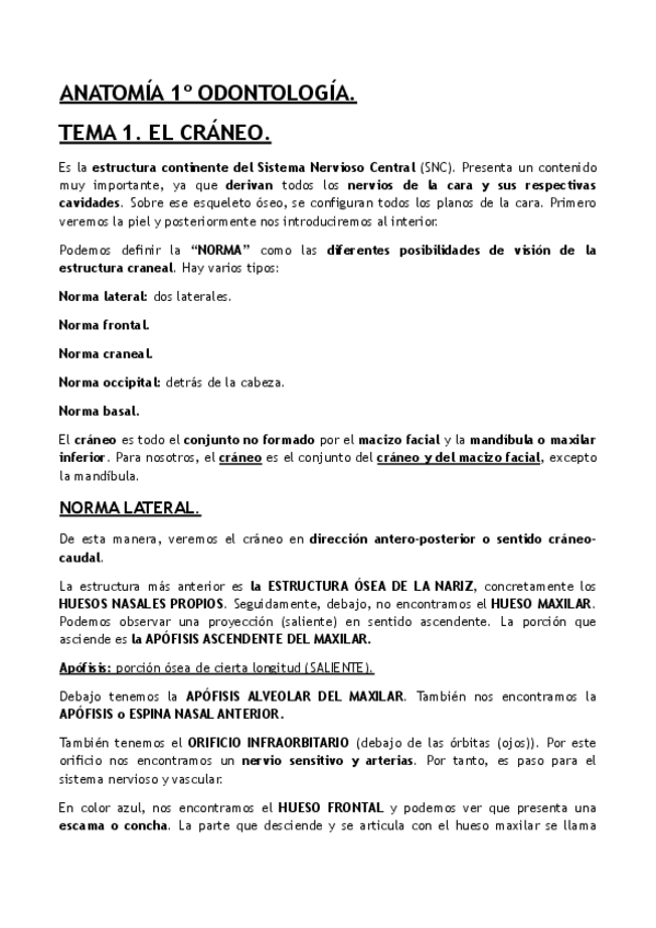 Miniatura del documento ANATOMIA-PRIMERO.pdf