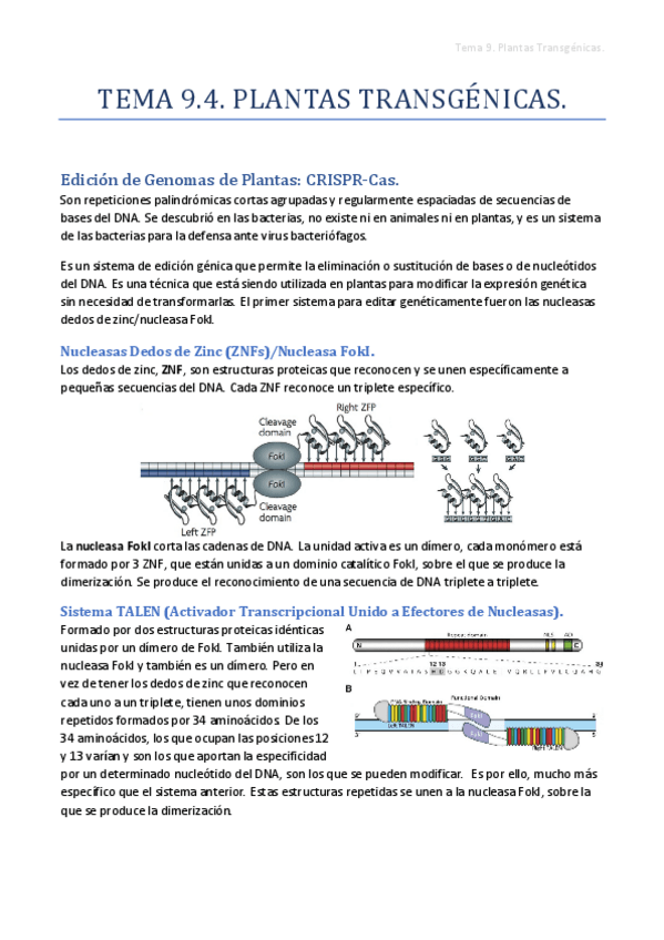 Miniatura del documento Tema-9.pdf