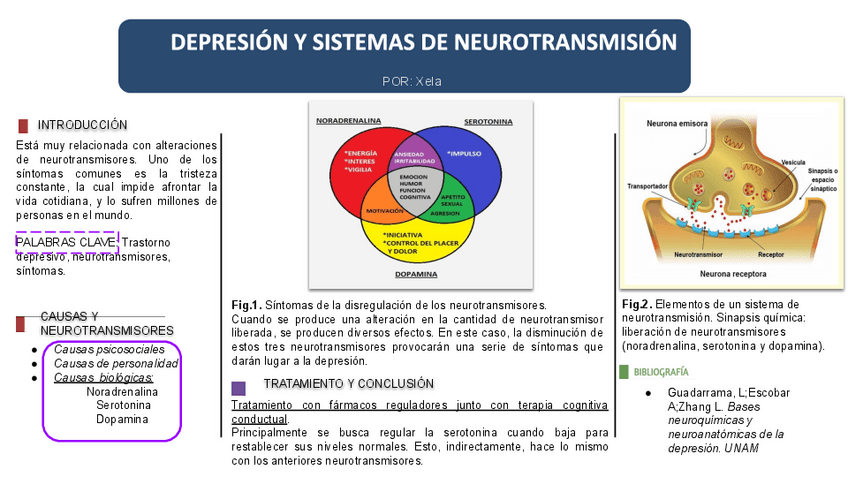 Miniatura del documento Ejemplo-Poster-Bio-Xela.pdf
