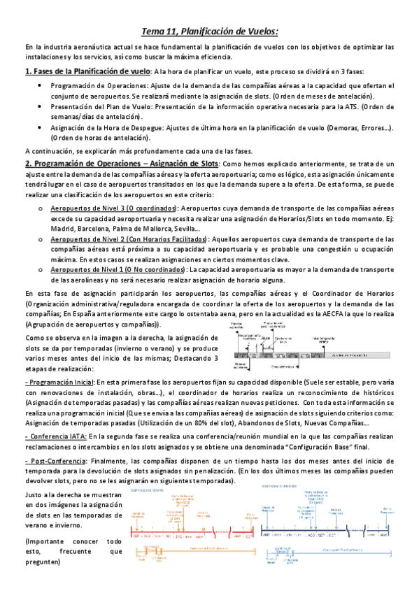 Miniatura del documento Tema-11-Planificacion-de-Vuelos.pdf