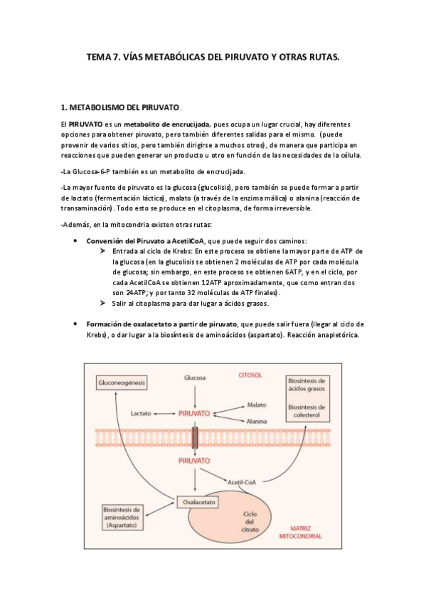 Miniatura del documento Tema-7.pdf