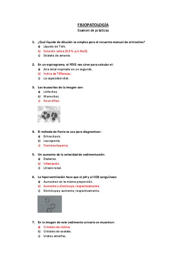 Miniatura del documento Tipo 4.pdf