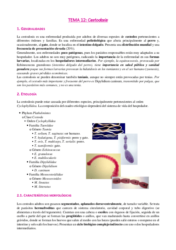 Miniatura del documento Tema-12-Cestodosis.pdf