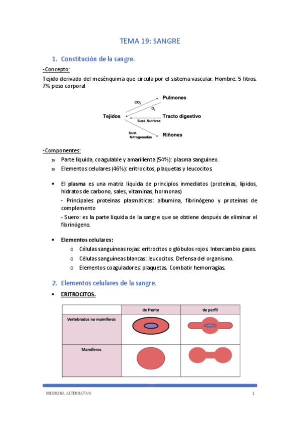 Miniatura del documento TEMA-19.pdf