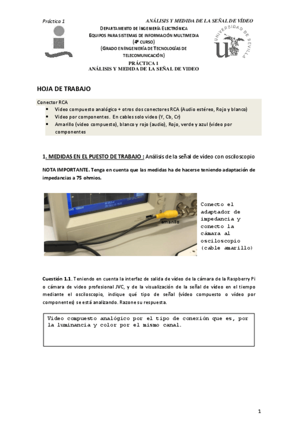 Miniatura del documento P1.pdf