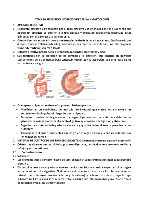 Miniatura del documento 16-saliva-y-masticacion.pdf