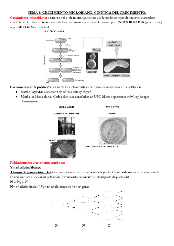 Miniatura del documento MICRO-TEMA-8.pdf