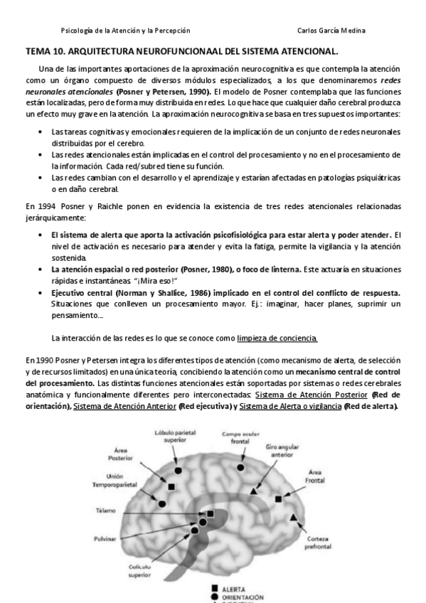 Miniatura del documento TEMA 10._ARQUITECTURA NEUROFUNCIONAAL DEL SISTEMA ATENCIONAL.pdf