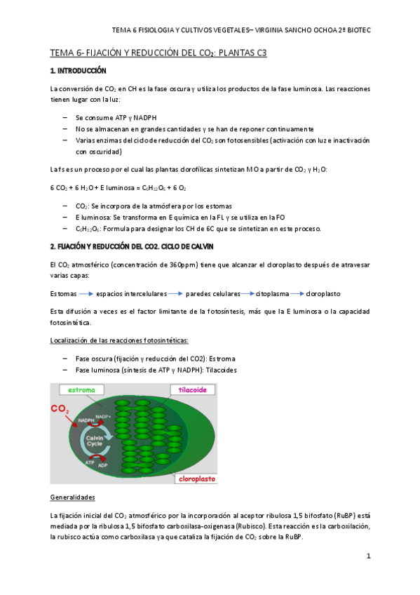 Miniatura del documento TEMA-6.pdf