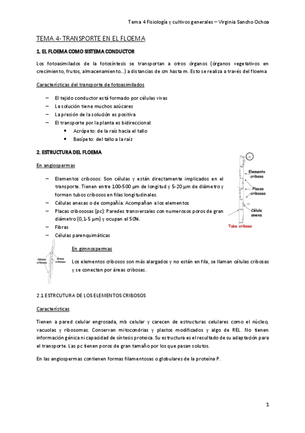 Miniatura del documento TEMA-4.pdf