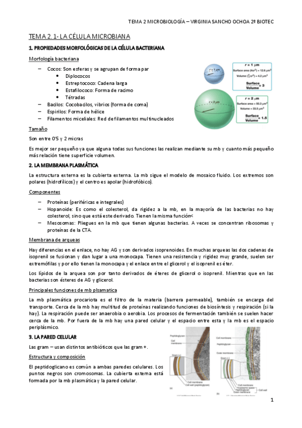 Miniatura del documento TEMA-2.pdf