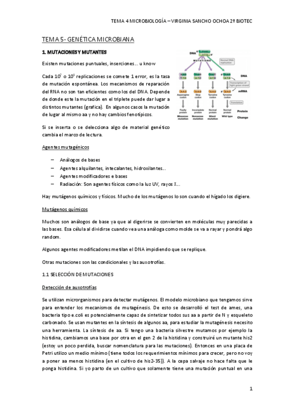 Miniatura del documento TEMA-5.pdf