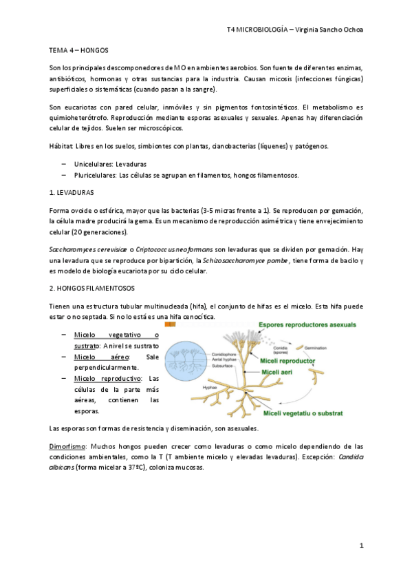 Miniatura del documento TEMA-4.pdf